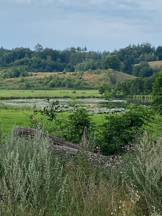 Dom Z Basenem I Widokiem Na Lake Radun Extérieur photo